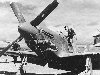 5t.jpg