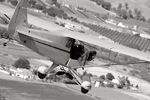 08_Cub673_2473s.jpg