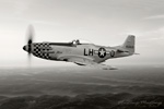 GM7_0637seps.jpg