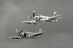 SD6_0124s.jpg