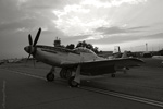 GML_1133s.jpg