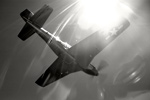 IronAss_0034s.jpg