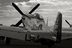 OK6_6183s.jpg