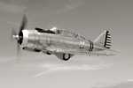 Chn06_0340bws.jpg
