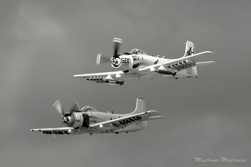 P-51 Mustang at Warbirds