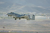 LV6_3183t.jpg