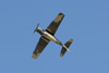 RN7_8373wt.jpg