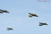 OSH-05_4279t.jpg