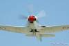 GSF_0848t.jpg
