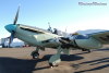 firefly-19t.jpg