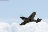 OSH-05_4077t.jpg