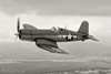 POF8_4396sept.jpg