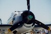 f4f-3t.jpg