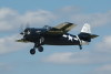 wildcat_3092t.jpg