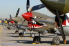 CHN_1343t.jpg
