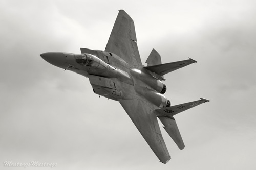 P-51 Mustang at Warbirds