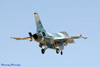 LV6_2816wft.jpg