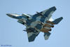 LV6_2970t.jpg