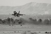 LV6_3231_sept.jpg