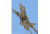 8AA_2804vt.jpg