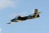 LV5_8126t.jpg