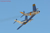 LV6_3499t.jpg