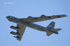 Nellis08_821t.jpg