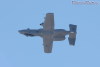 a10_7859t.jpg