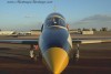 l39-2t.jpg