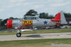 T6_3129t.jpg