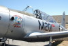 wt.BT13.cf1.589t.jpg