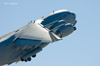 Nellis08_827t.jpg