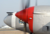 CH7_1583t.jpg
