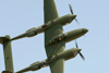 CH7_2812t.jpg
