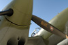 GG_0406t.jpg