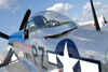 GM7_0213t.jpg