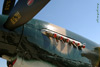 GM7_0087t.jpg