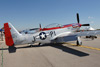 GM7_0104t.jpg