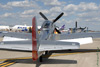 GM7_0311t.jpg