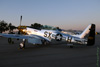 GM7_0457t.jpg