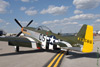 GM7_0328t.jpg