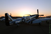 GM7_0455t.jpg