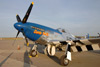 GM7_0925t.jpg