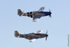 GML_1182dt.jpg