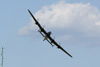 GML_1515t.jpg