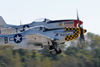 GML_1660dt.jpg
