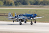 GML_1694dt.jpg
