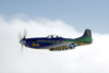 GML_0969dt.jpg