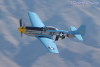 shooter.8092t.jpg