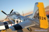dakotakid_8249t.jpg